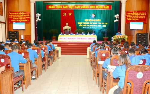 Đại hội đại biểu Đoàn TNCS Hồ Chí Minh tỉnh Gia Lai lần thứ XIV, nhiệm kỳ 2017-2022